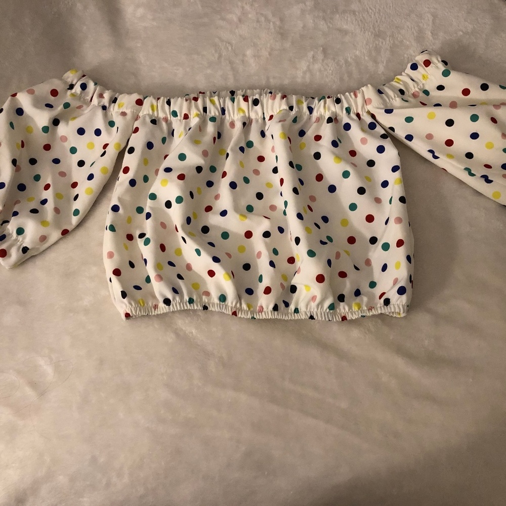 Zara Multicolored Polka Dot Crop Top | Summer!